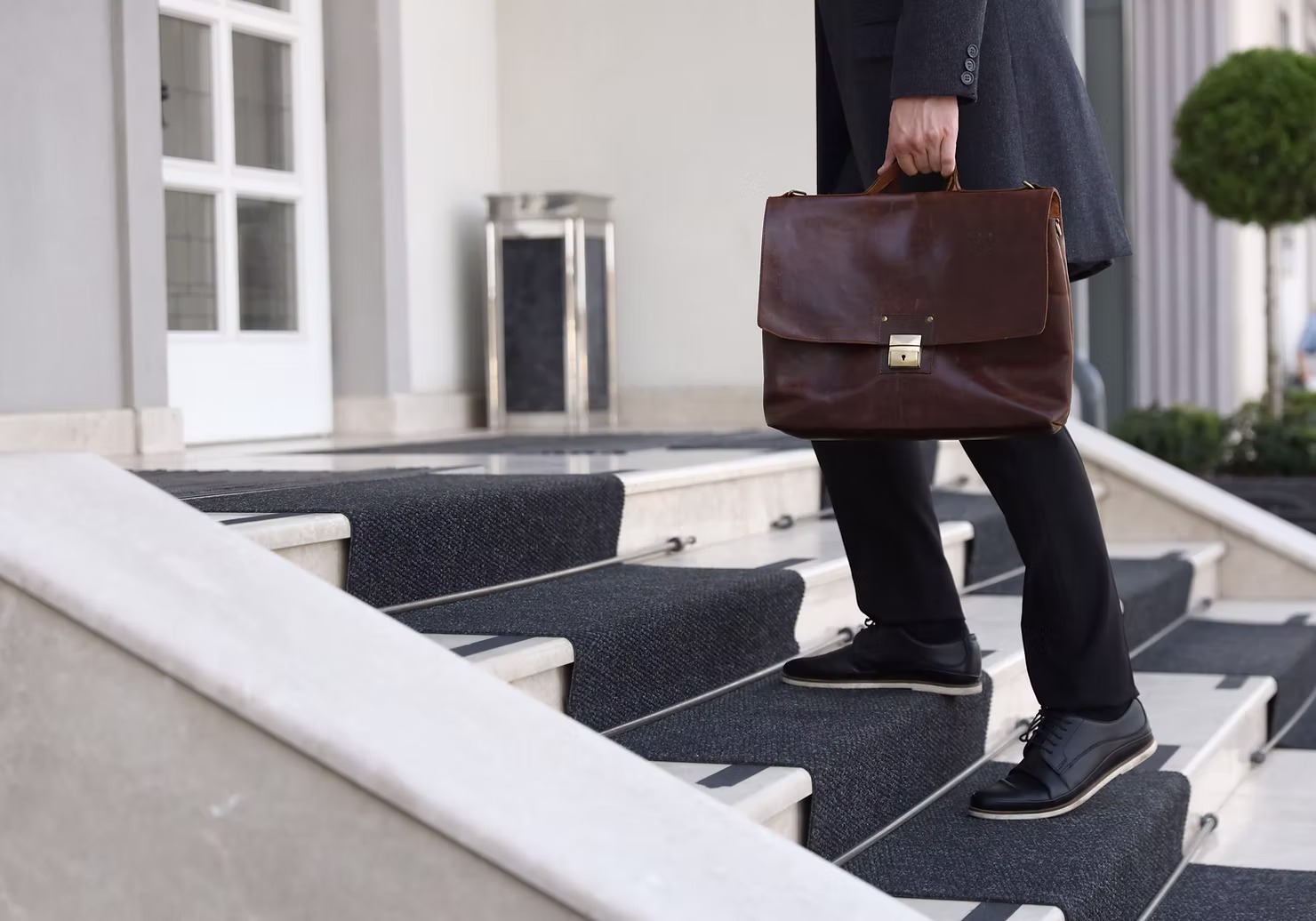 Dragostea pentru statutul social