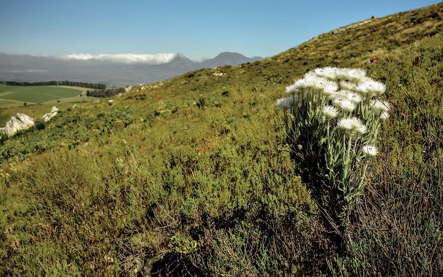 NEMURITOARE ÎN LUME