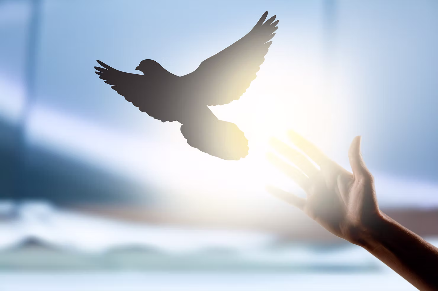 Fără mâini pentru cei care te lovesc, fără limbă pentru cei care te blestemă