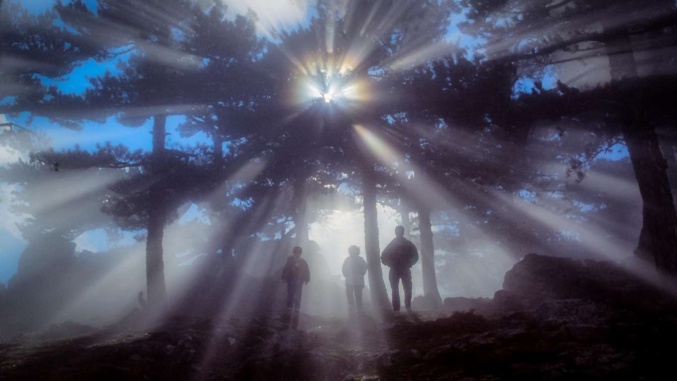 CEI CARE S-AU ÎNVĂLUIT ÎN AUREOLĂ PRIN CONFRUNTAREA CU SINE – 2