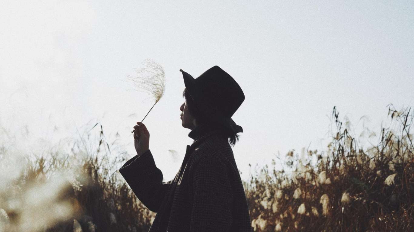 O LUNGĂ DORINȚĂ – II