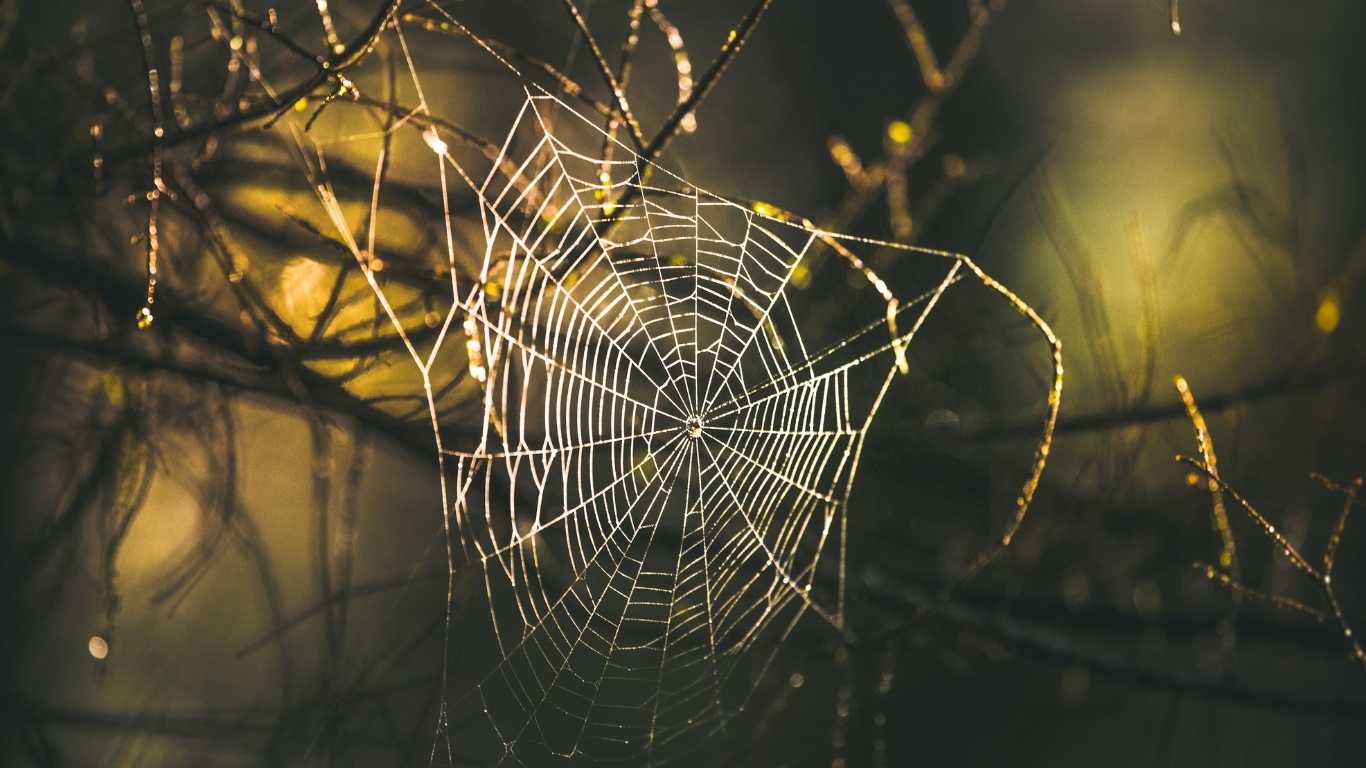 Surat Al-’Ankabut (Sura păianjenului)