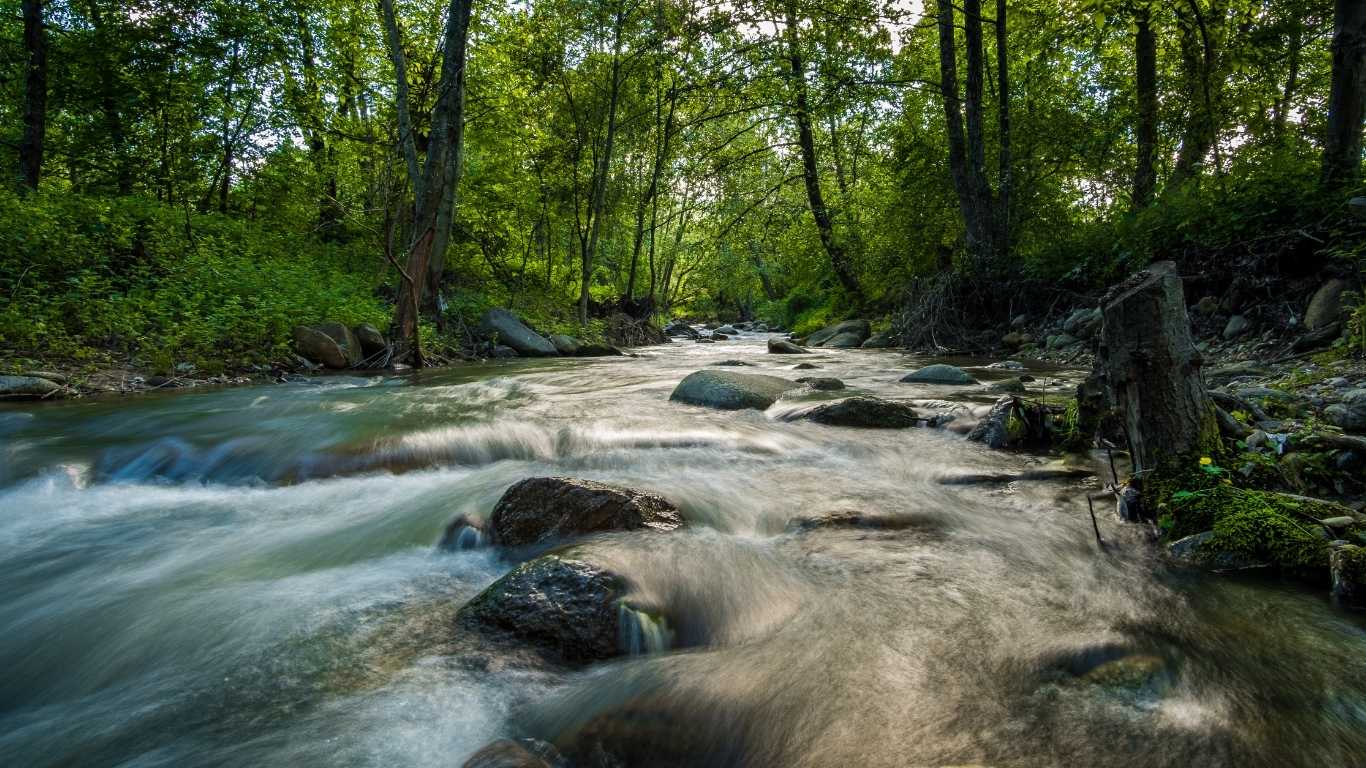 Surat Al-Qasas (Sura Poveștilor)