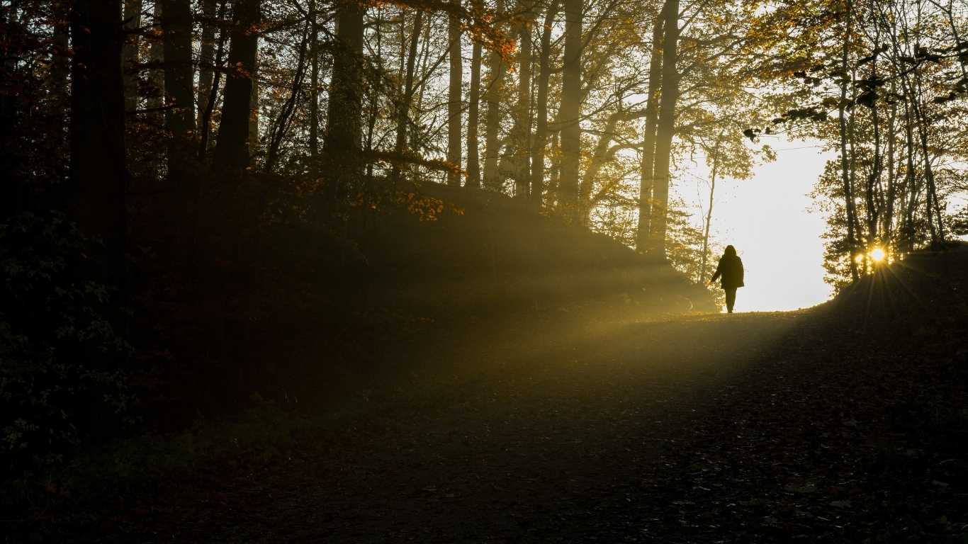 Surat Al- Baqara (Sura Vacii)