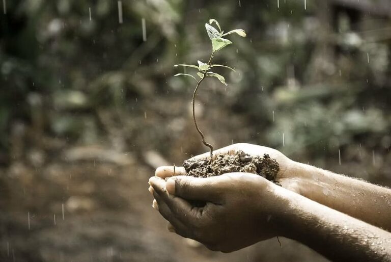 Ce înseamnă fitra (natura primordială)?