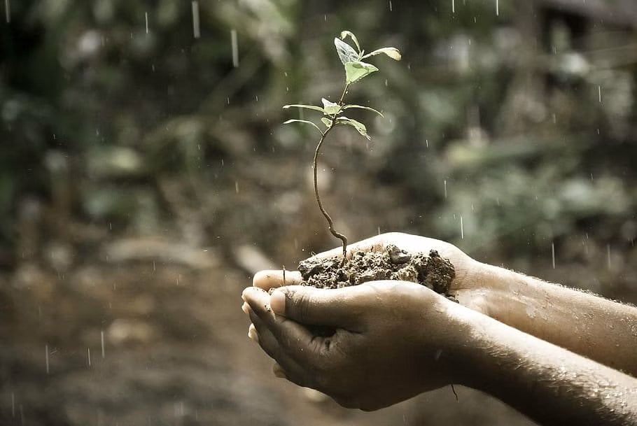 Ce înseamnă fitra (natura primordială)?