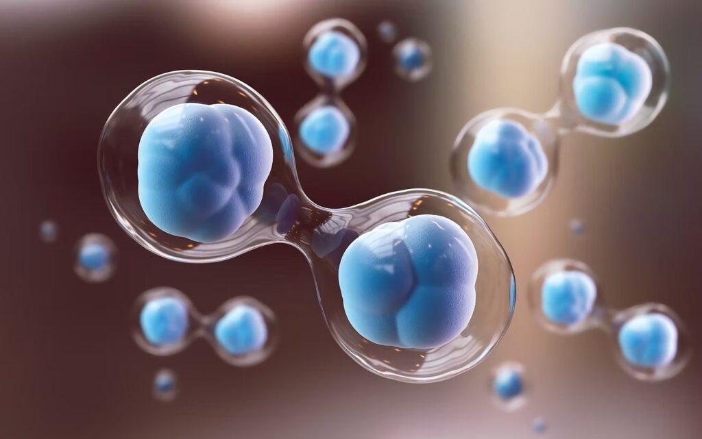 CELULELE STEM EMBRIONARE