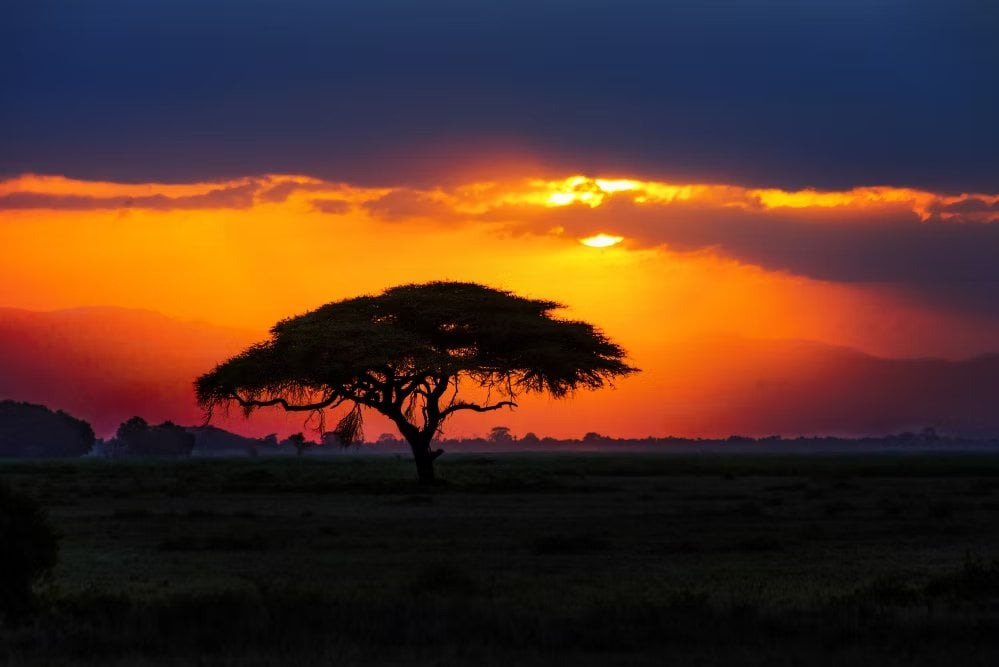 În Indonezia, Suedia, Africa de Sud
