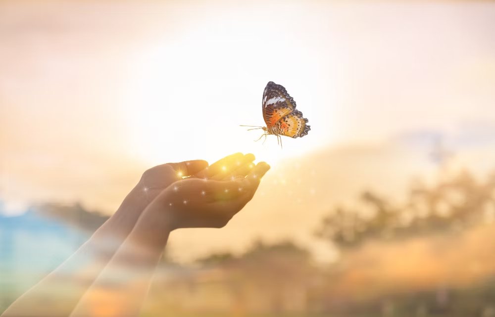 SPIRITUL ȘI CEEA CE URMEAZĂ